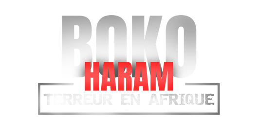 Boko Haram : terreur en Afrique