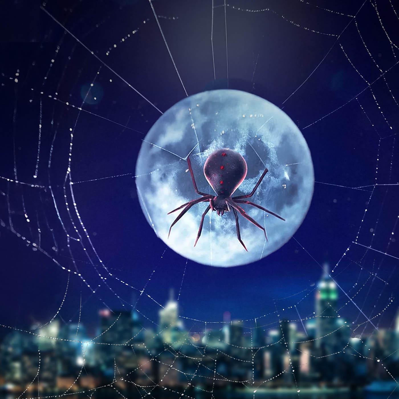 Dans les secrets des films "Spider-Man"