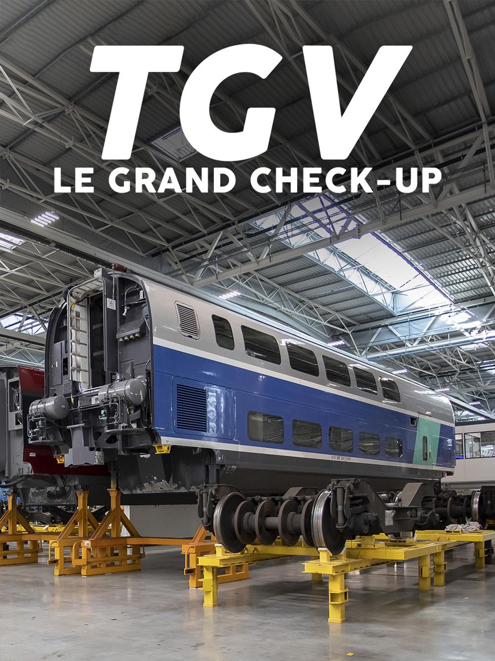 TGV : le grand check-up