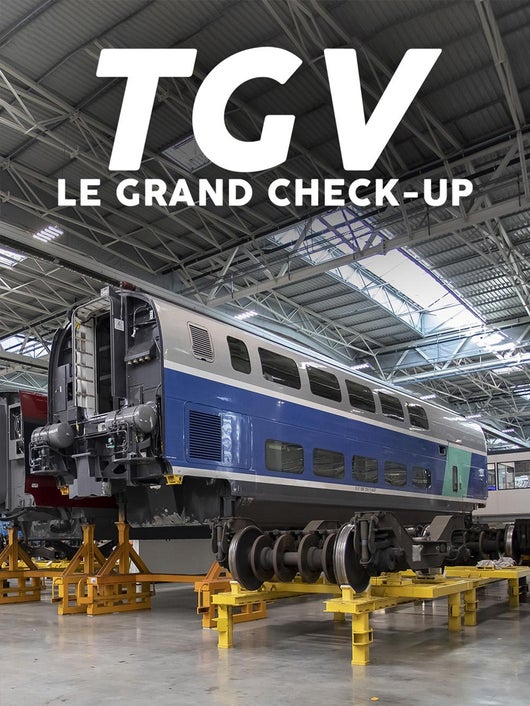 TGV : le grand check-up