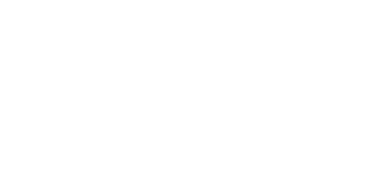 Les ponts de Paris : un patrimoine révélé