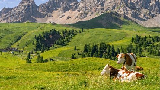 L'agriculture, c'est là-haut aussi