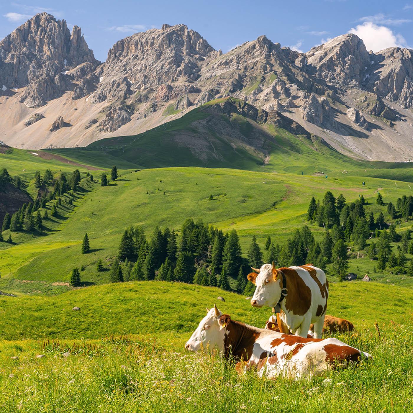 L'agriculture, c'est là-haut aussi