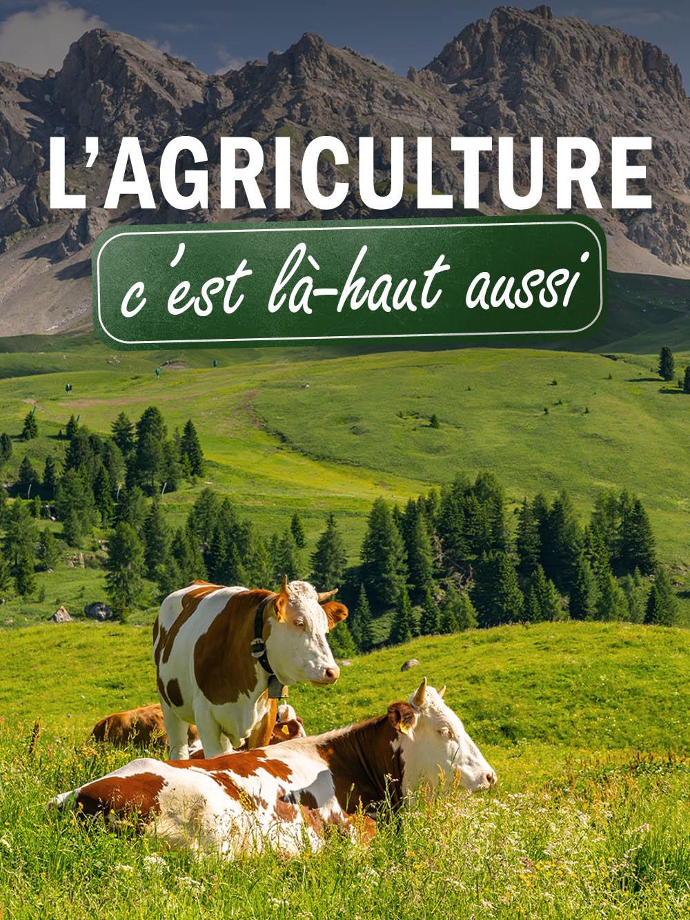 L'agriculture, c'est là-haut aussi