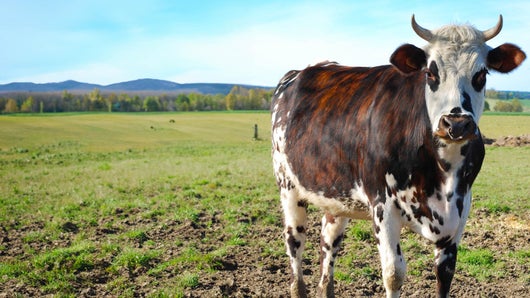 L'agriculture, c'est ce qui nous lie