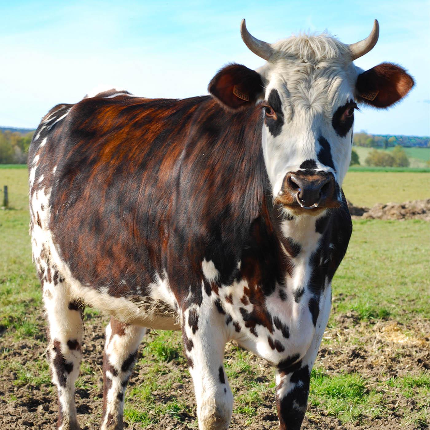 L'agriculture, c'est ce qui nous lie