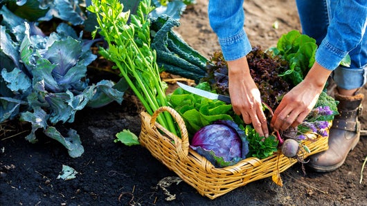 L’agriculture, c’est un drôle de pari