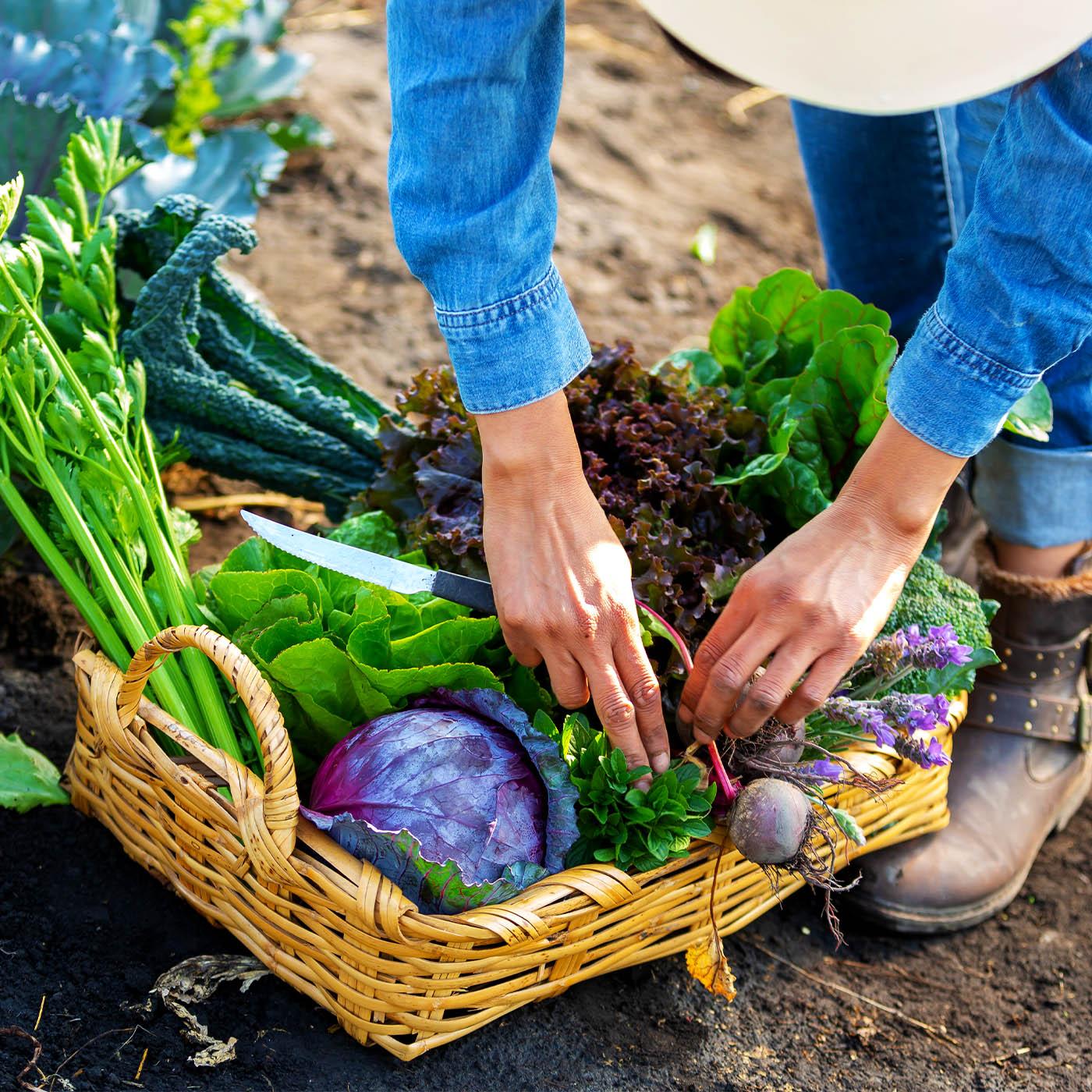 L’agriculture, c’est un drôle de pari