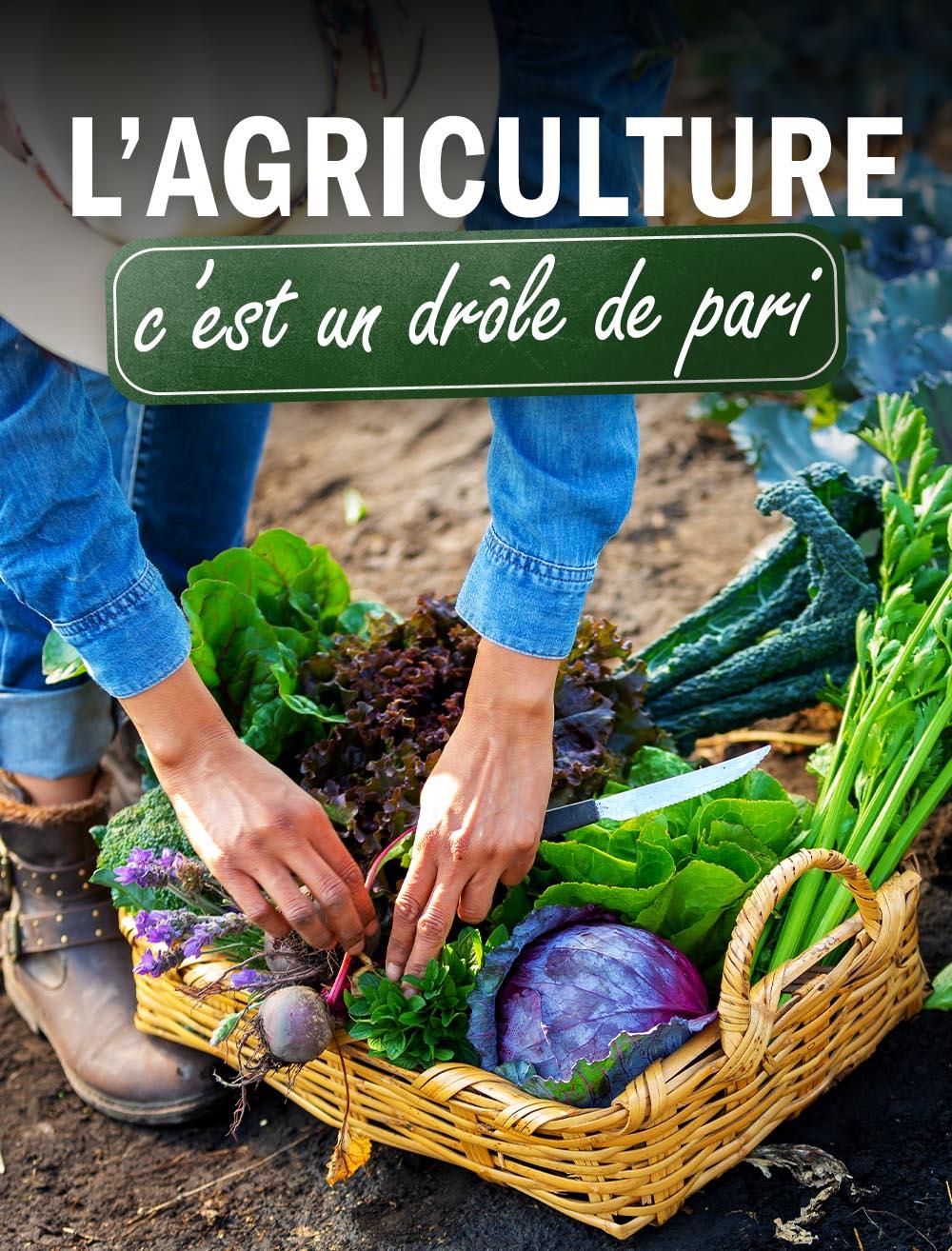 L’agriculture, c’est un drôle de pari
