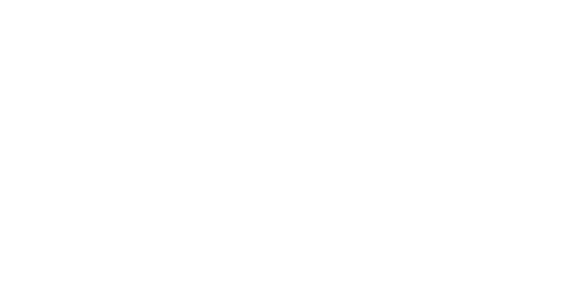 Storage Wars : enchères surprises 