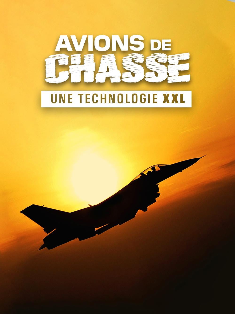 Avions de chasse : une technologie XXL