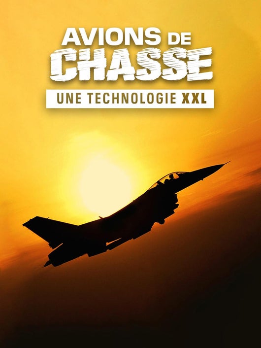 Avions de chasse : une technologie XXL