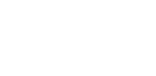 La capitale gauloise disparue