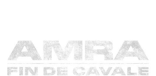 Amra, fin de cavale