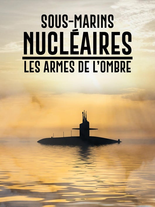Sous-marins nucléaires : les armes de l'ombre