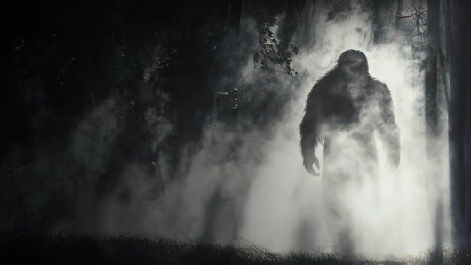 Bigfoot : mythe ou réalité ?