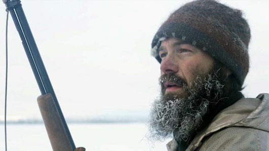 Affronter l'ours