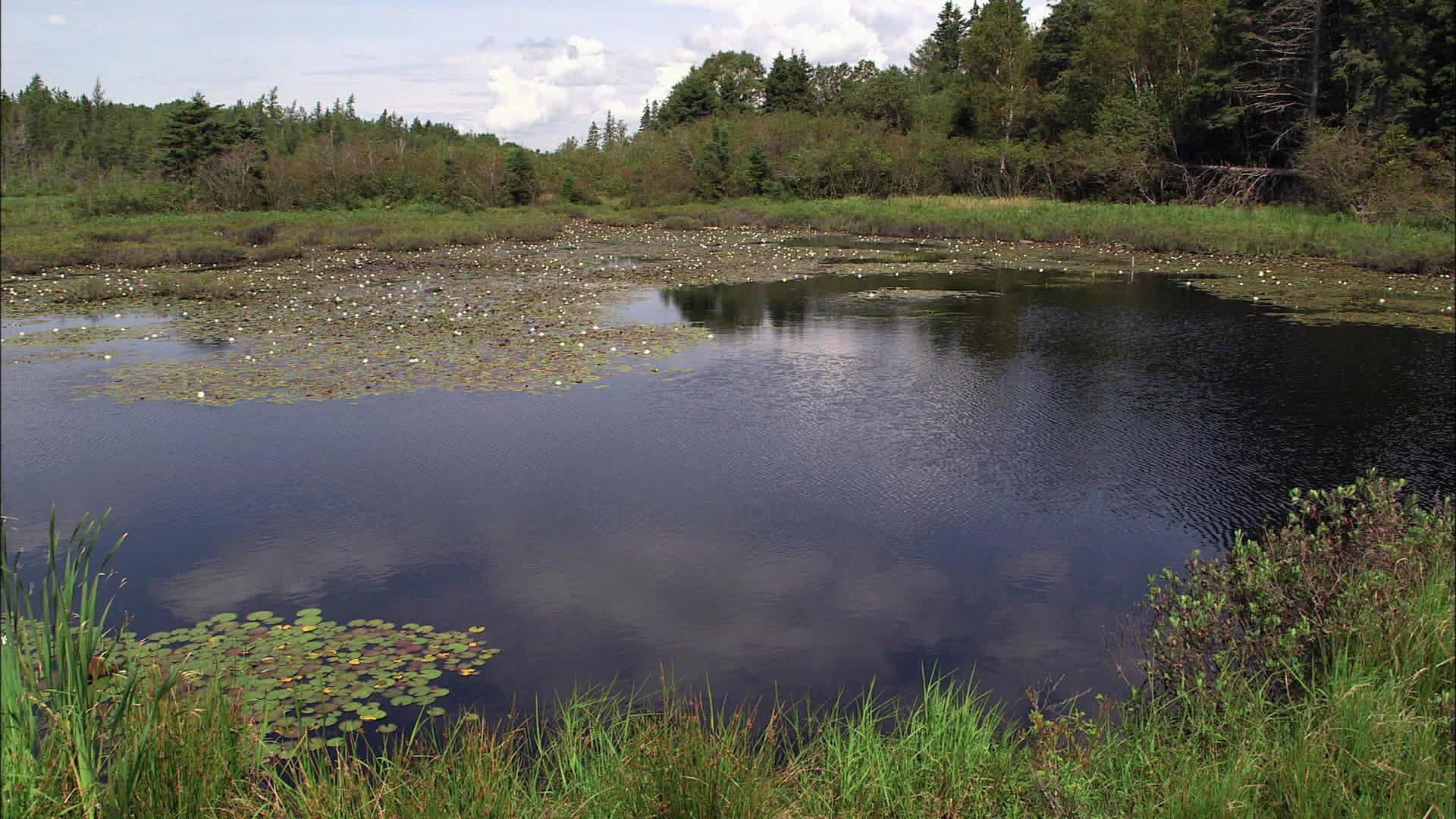 La grande percée