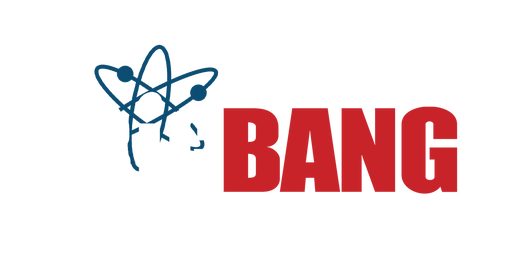 The Big Bang Theory