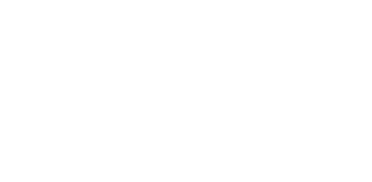 L'ascension et la chute de Carlos Ghosn