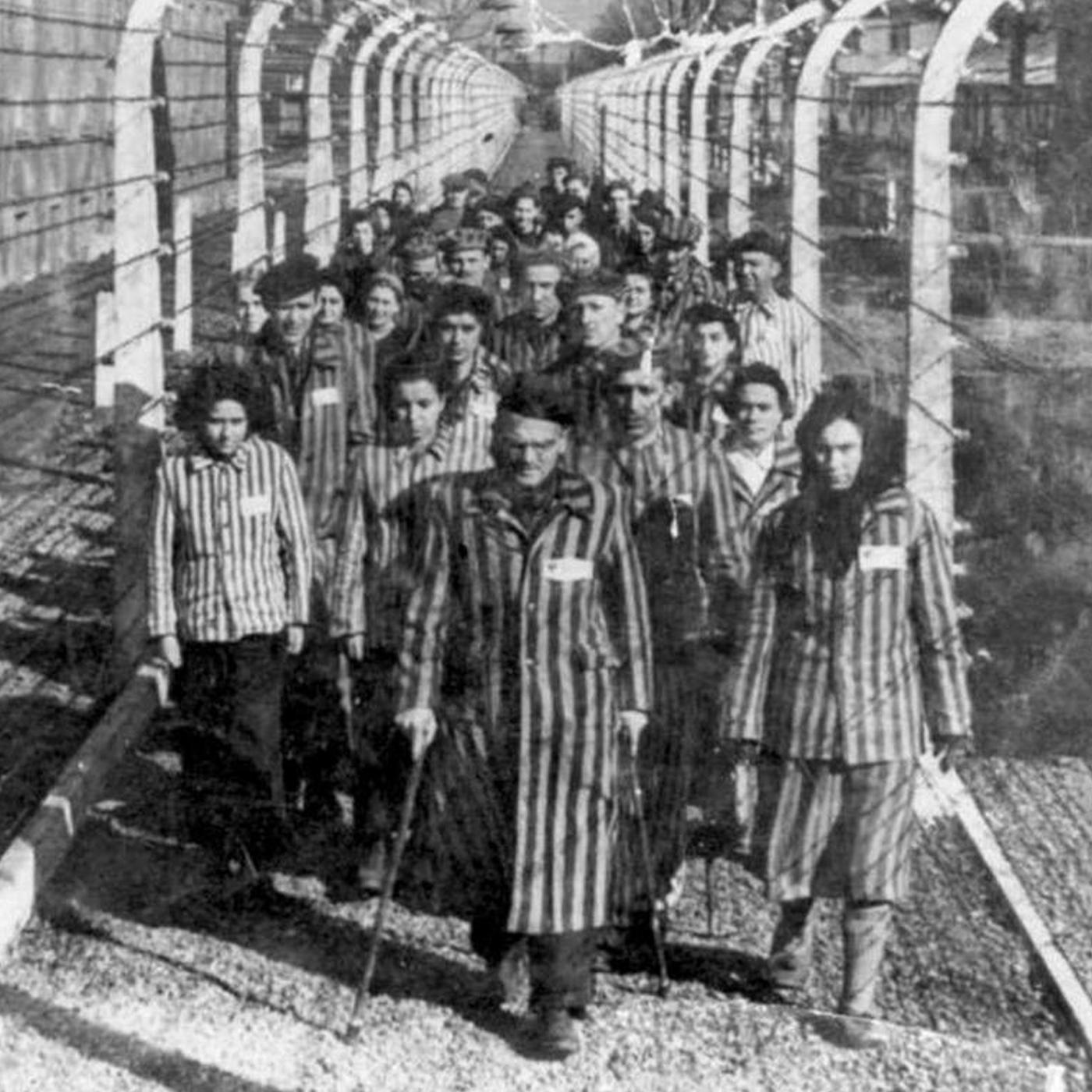 Enquête sur les camps perdus du IIIe Reich