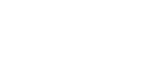 Gestapo : La police de la terreur