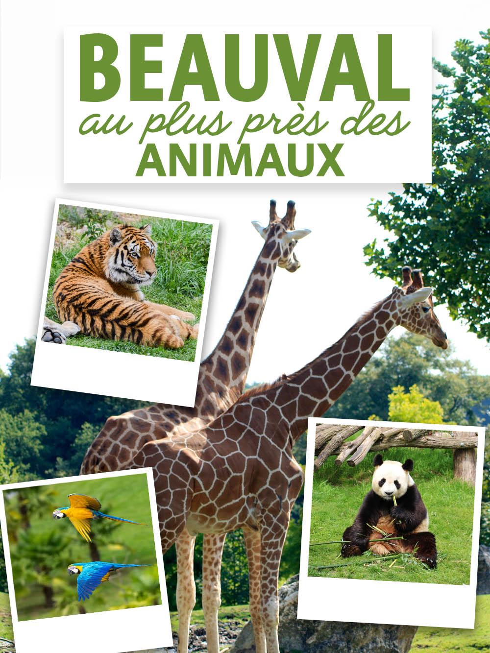 Défis pour les soigneurs