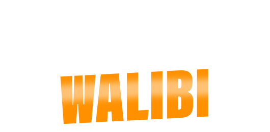 Walibi : les secrets du parc à sensations