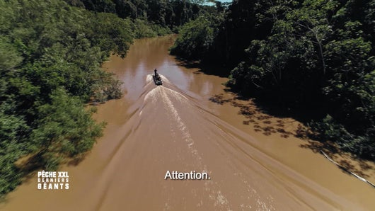 Au plus profond de la jungle