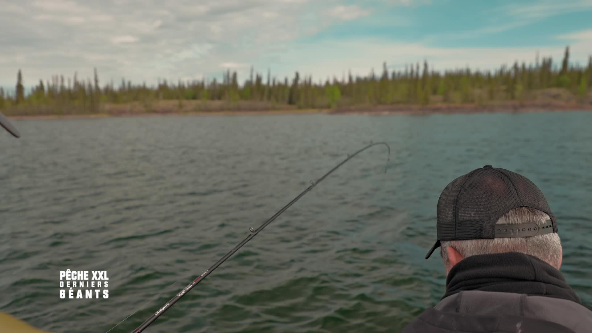 Prédateurs de l'Arctique
