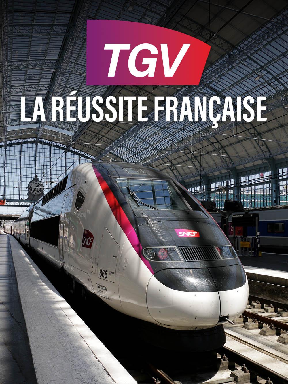 TGV, la réussite française