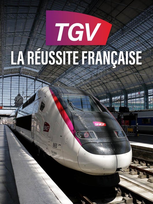 TGV, la réussite française
