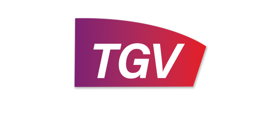 TGV, la réussite française