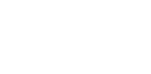 Arles : au coeur de la cité antique