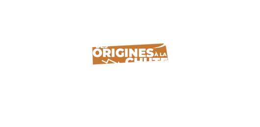 Les Vikings, des origines à la chute