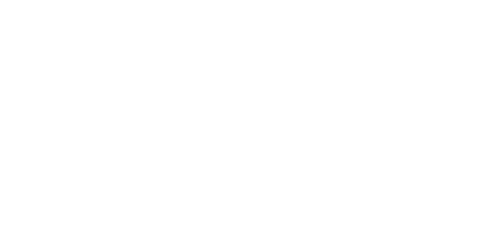 Au cœur des douanes