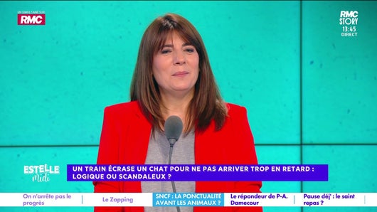Un train écrase un chat pour ne pas arriver trop en retard : logique ou scandaleux ?