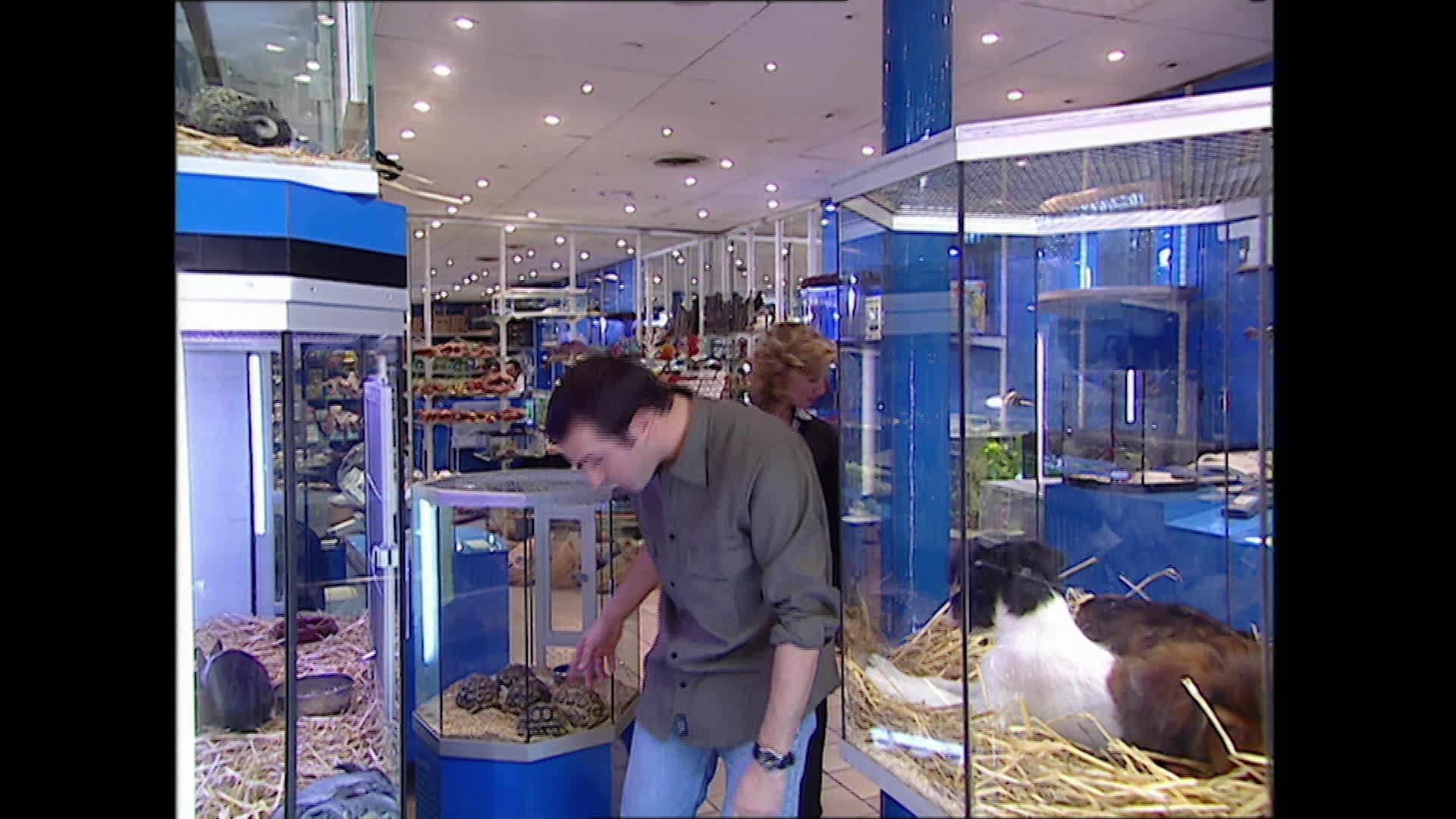 À l'animalerie