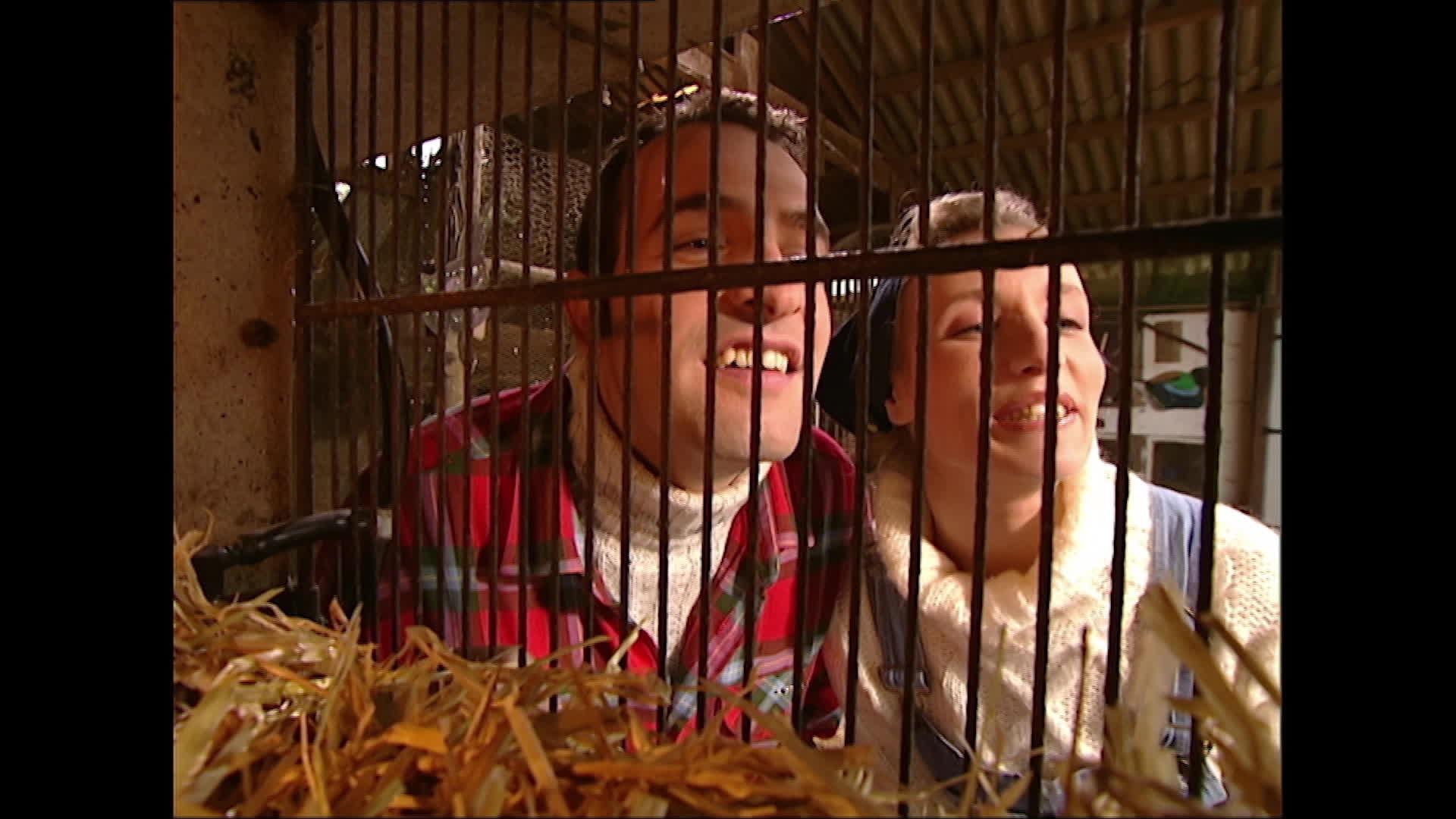 À la ferme