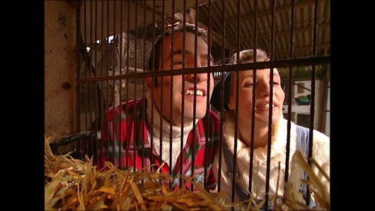 À la ferme