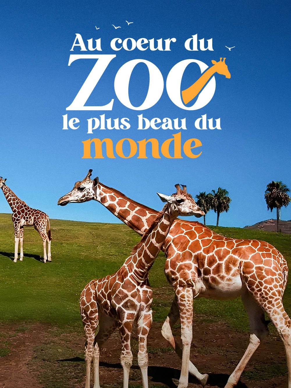 Au coeur du zoo le plus beau du monde