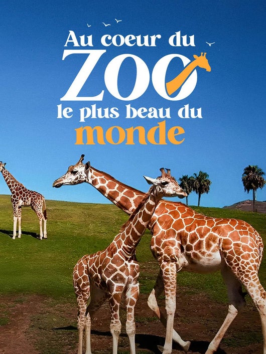 Au coeur du zoo le plus beau du monde