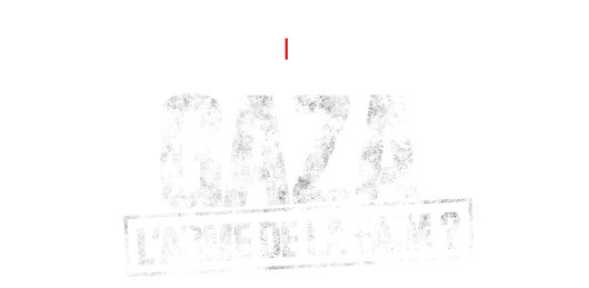 Gaza, l'arme de la faim ?