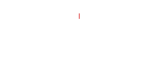 Histoire d'une fausse information : l'affaire Brigitte Macron