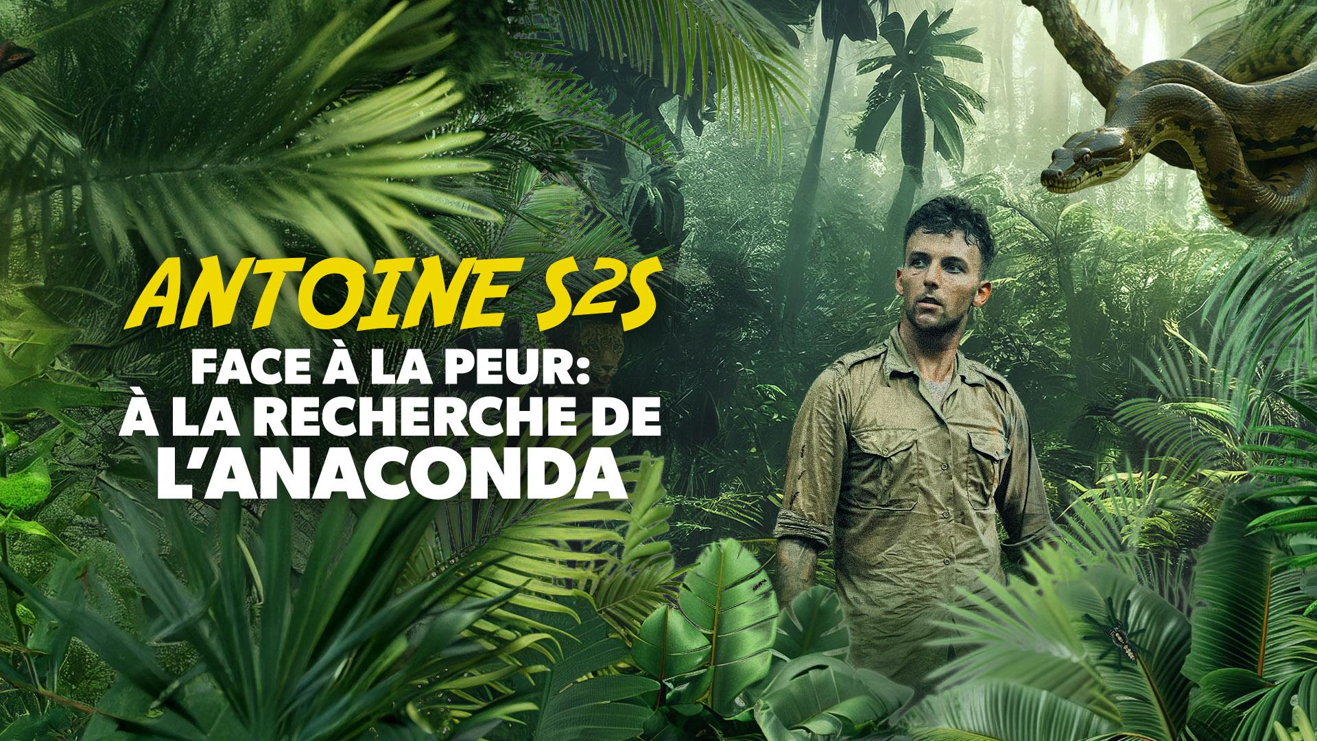 Face à la peur : à la recherche de l'anaconda