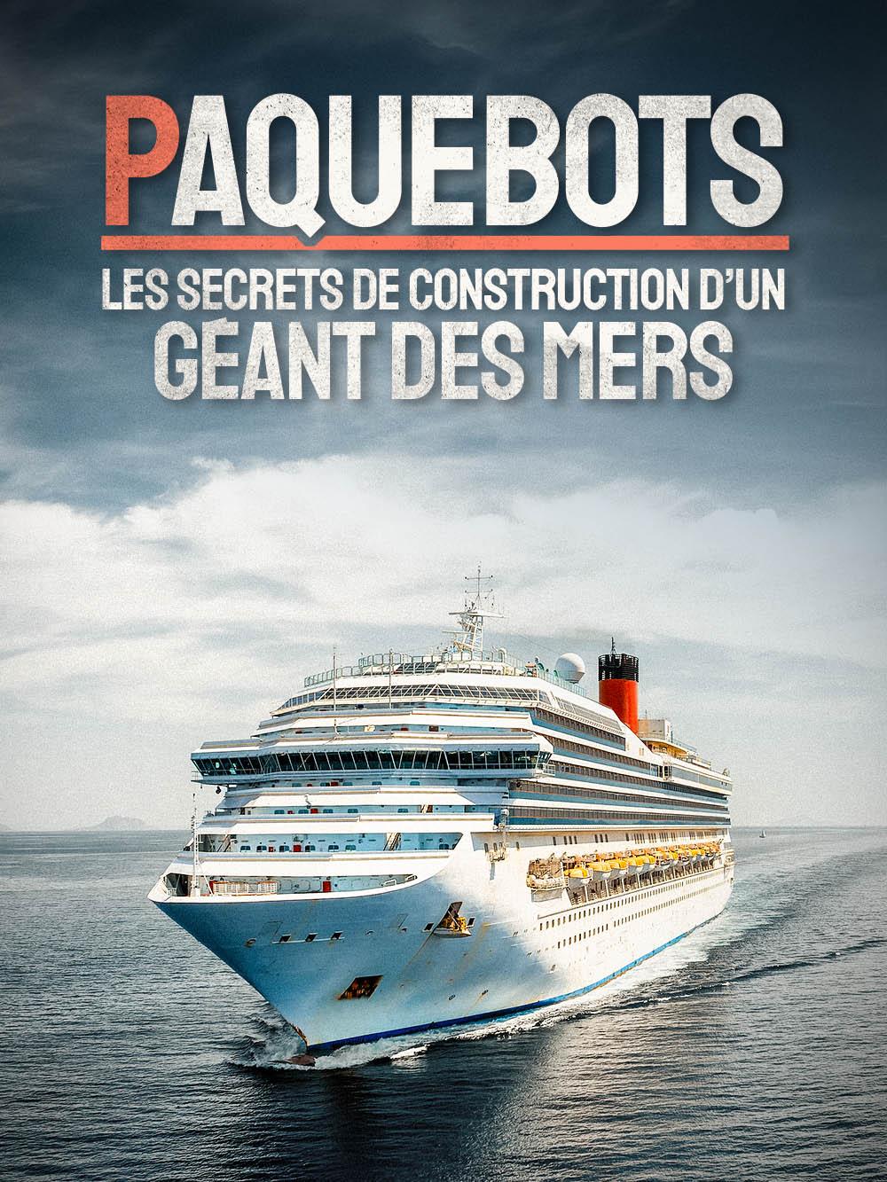 Paquebots : les secrets de construction d’un géant des mers