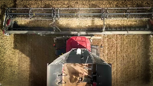 11 tonnes d'acier à vif