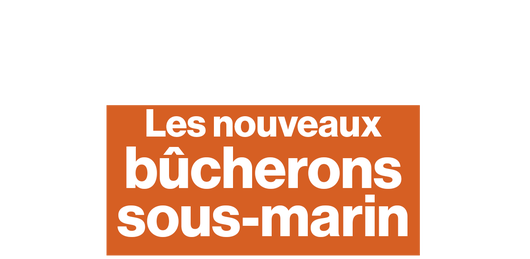 La face-cachée du projet Triton qui veut exploiter la forêt engloutie de Guyane