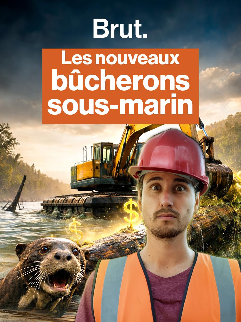 La face-cachée du projet Triton qui veut exploiter la forêt engloutie de Guyane