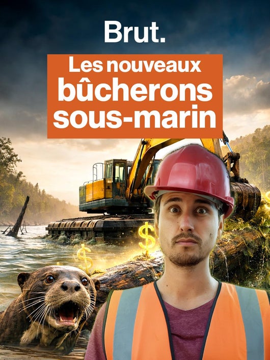 La face-cachée du projet Triton qui veut exploiter la forêt engloutie de Guyane